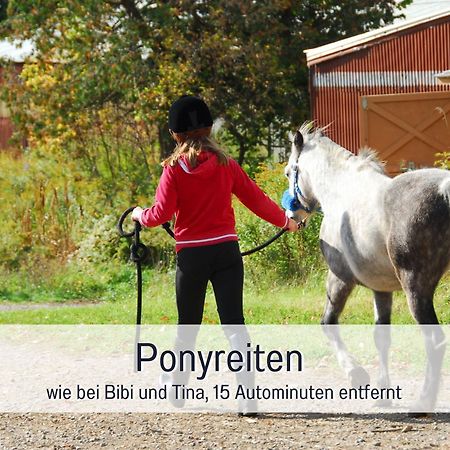 Natur-Chalet Zum Nationalpark Franz Inkl. E-Auto Allenbach Esterno foto