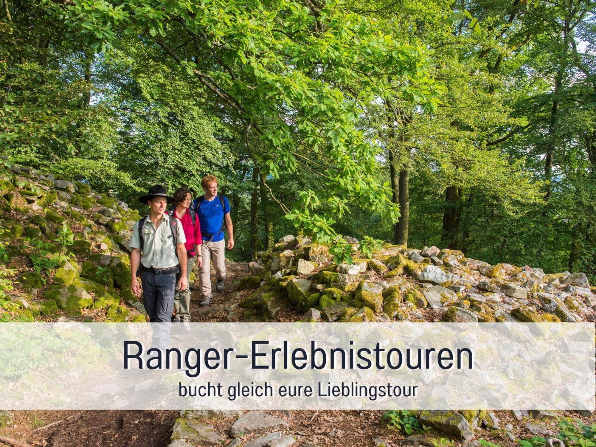 Natur-Chalet Zum Nationalpark Franz Inkl. E-Auto Allenbach Esterno foto